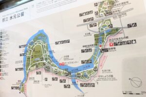 水元公園マップ