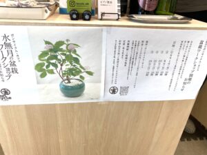 ボンサイクル・カフェ（ワークショップ案内チラシ）