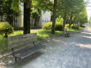 西亀有せせらぎ公園２