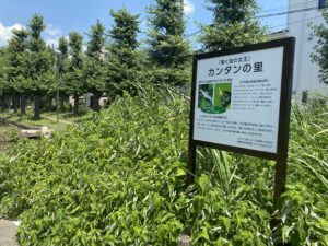 西亀有せせらぎ公園１４