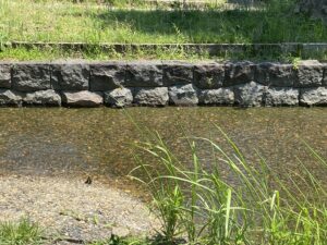 西亀有せせらぎ公園１１