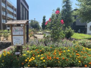 西亀有せせらぎ公園１９
