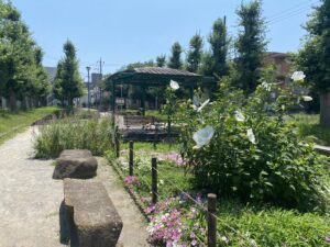 西亀有せせらぎ公園１７