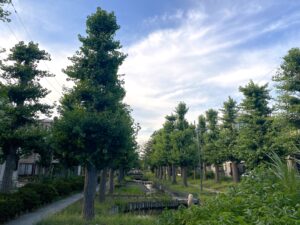西亀有せせらぎ公園１５